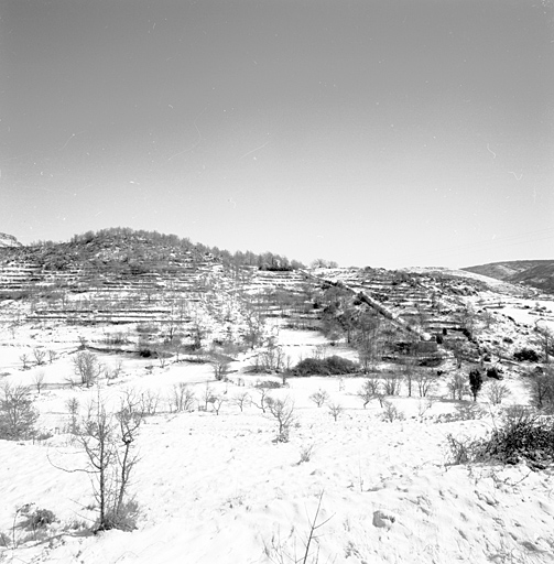 Trois ensembles de terrasses cultivées au lieu-dit chapelle Notre-Dame (section F, ensemble de gauche : parcelles 189 à 194, ensemble du centre : parcelles 143, 144 et 146, ensemble de droite : parcelle 147), envahies par un bois de chênes. ; Bézaudun-les-ALpes, Chapelle Notre-Dame. Trois ensembles de terrasses cultivées (section F, ensemble de gauche : parcelles 189 à 194, ensemble du centre : parcelles 143, 144 et 146, ensemble de droite : parcelle 147), envahies par un bois de chênes.