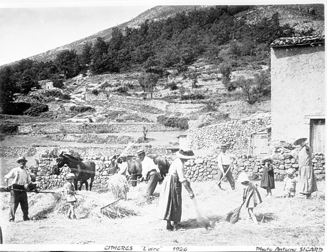 Terrasses cultivées et scène de foulaison près du village de Cipières en 1926. ; Terrasses cultivées et scène de foulaison près du village de Cipières en 1926.