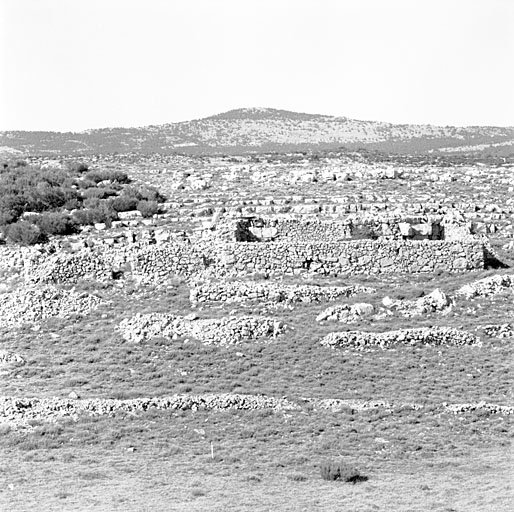 Cipières. Bergerie de pierres-sèches couverte sur piliers, peut-être d'origine avant 1841 (cadastre section G, parcelle 227).