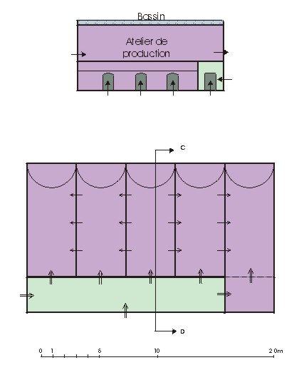 Plan et coupe du bâtiment 13.