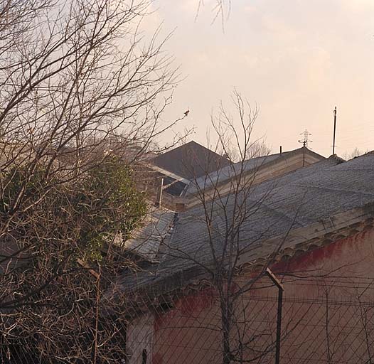 Bâtiment des roues et ancienne scierie : vue d'ensemble des couvertures. ; Bâtiment des roues et ancienne scierie : vue d'ensemble des couvertures.