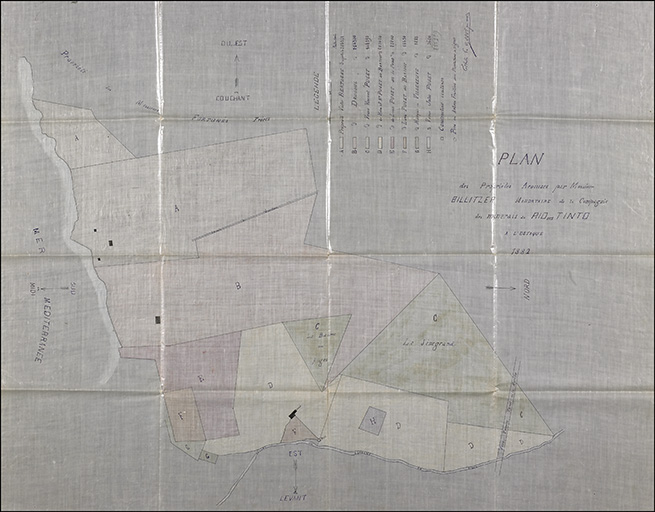 Plan des propriétés acquises par Monsieur Billitzer mandataire de la Compagnie des minerais de Rio Tinto à l'Estaque. 1882.