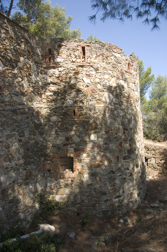 Enceinte, front latéral gauche, détail de la tourelle d'angle creuse crénelée.