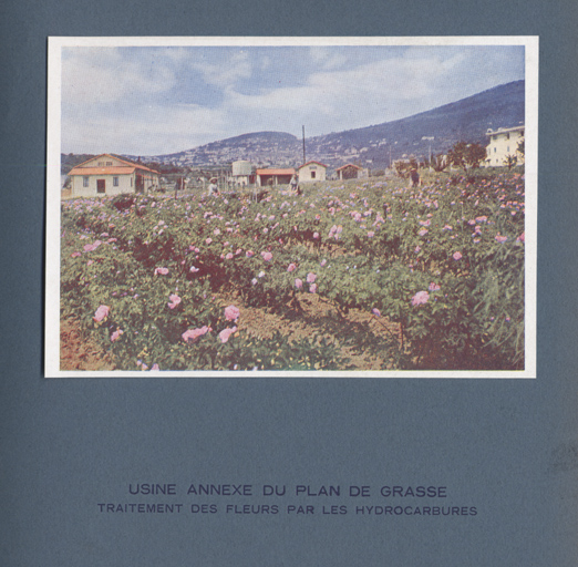Usine annexe du Plan de Grasse Traitement des fleurs par les hydrocarbures.