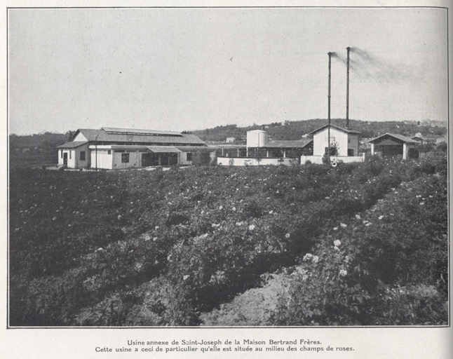 Usine annexe de Saint-Joseph de la Maison Bertrand Frères. Cette usine a ceci de particulier qu'elle est située au milieu des champs de roses.