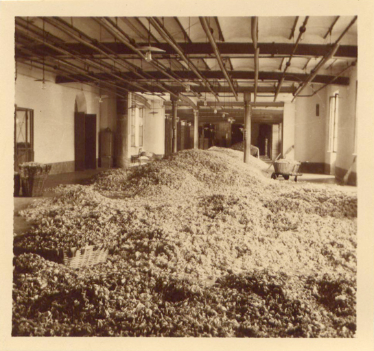 Vue de la salle de réception des fleurs.