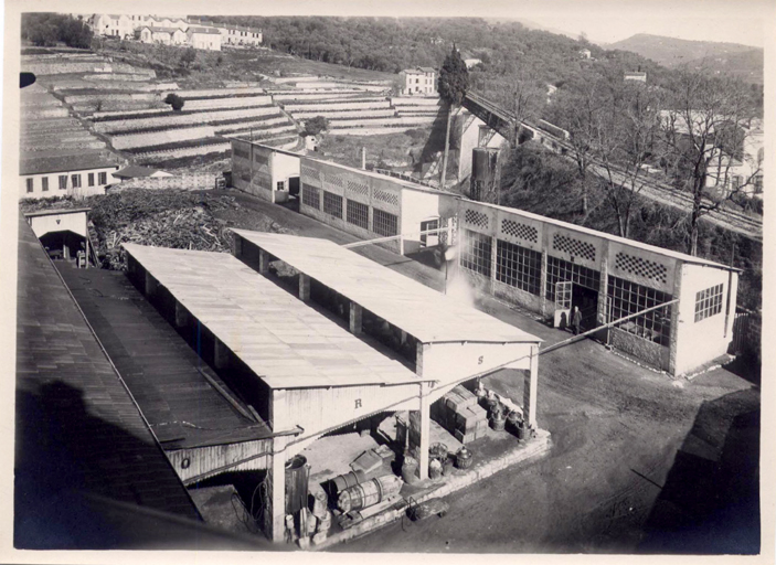 Vue d'ensemble des hangars.