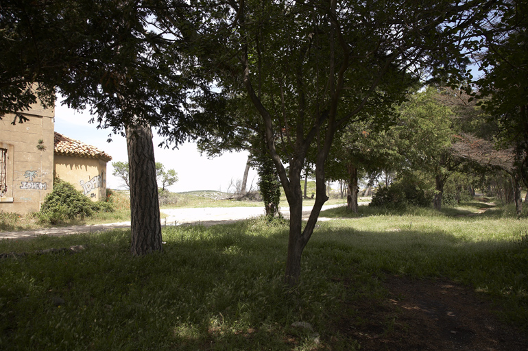 Allée arboréee devant le logis : vestige de parc. Vue prise de l'ouest.