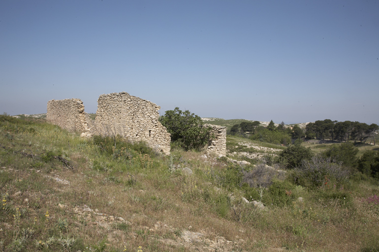 Bergerie en ruine.