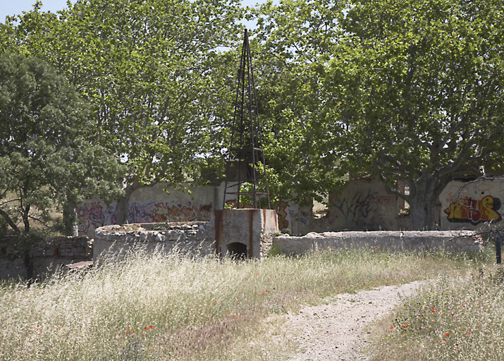 Puits et éolienne avec allée de platanes à l'arrière.
