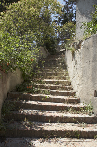 Escalier de jardin avec marches revêtues de briques pleines.