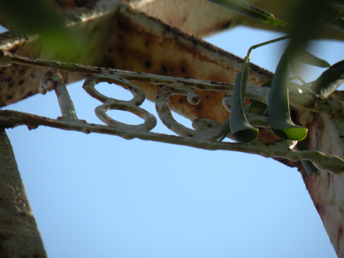 Détail de la croix : chronogramme.