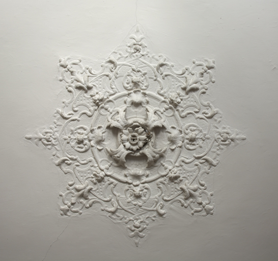 Immeuble 61, rue de la République. Premier étage. Salle de séjour. Rose en gypserie au centre du plafond.