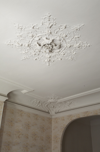 Immeuble 61, rue de la République. Premier étage. Plafond de la salle de séjour.