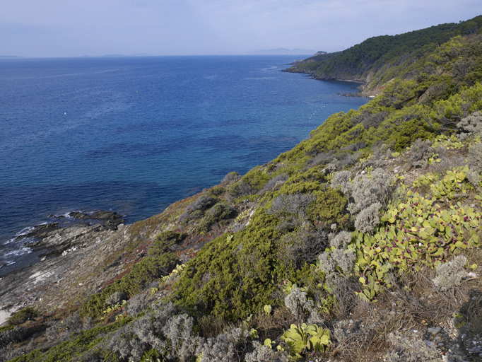 Côte ouest en contrebas de la batterie, vers la rade d'Hyères.