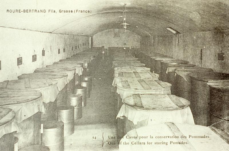 Roure-Bertrand Fils, Grasse (France) 14 Une des caves pour la conservation des Pommades. One of the cellars for storing Pomades.