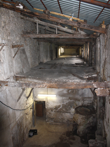 La partie sud-ouest de la papeterie : les combles et au premier plan, la salle du moulin à huile et son foyer.
