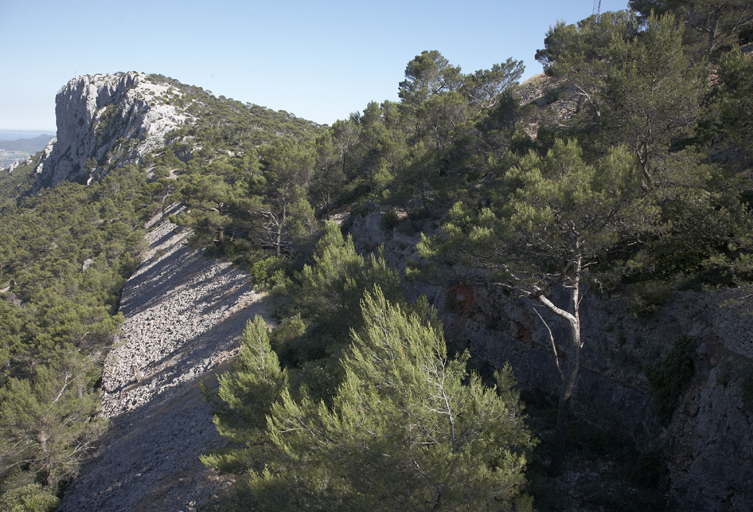 Retranchement, vue générale : escarpement, fossé et glacis à pierres coulantes, vus de la terrasse ouest.