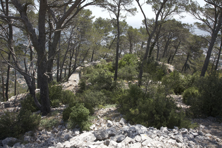 Ancien retranchement bas : vue plongeante de la terrasse polygonale de tête.