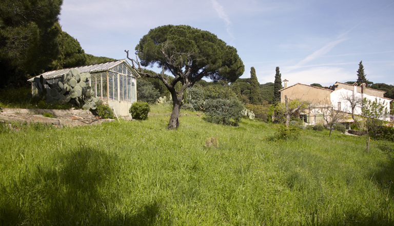 La serre et la maison.