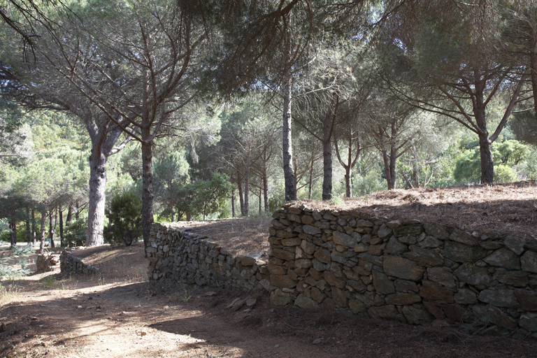 Jardin aménagé en terrasses.