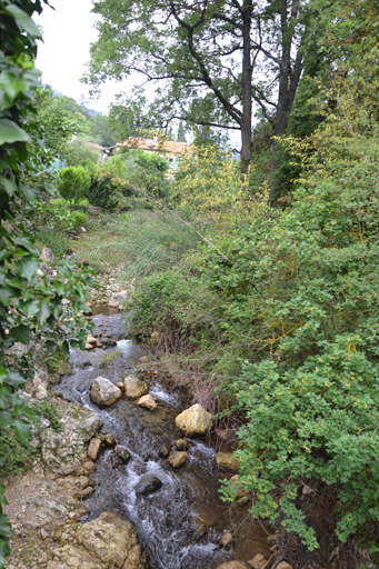 Le vallon longeant l'est de la propriété.