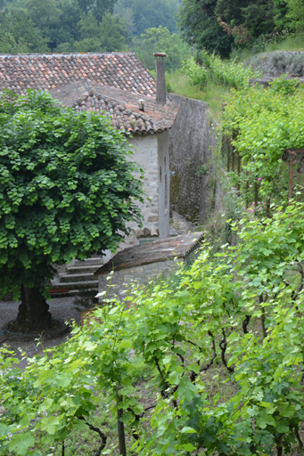 Passage séparatif entre la limite de propriété et le mur ouest du moulin à huile, prise du nord.