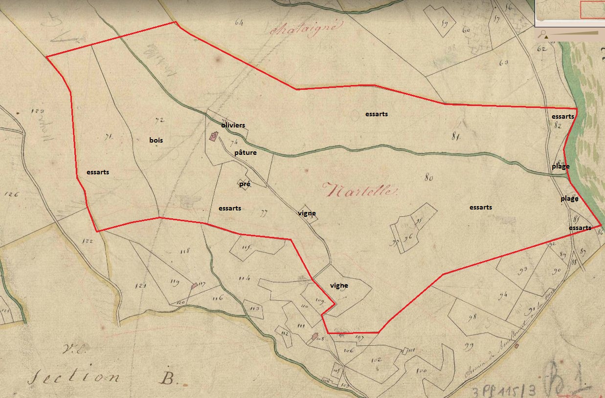 Plan de situation. D'après le plan cadastral de 1814, section B1.