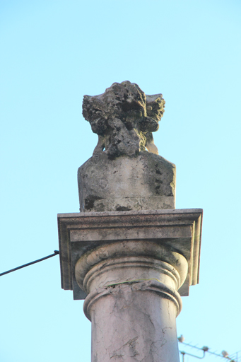 Vue de dos.