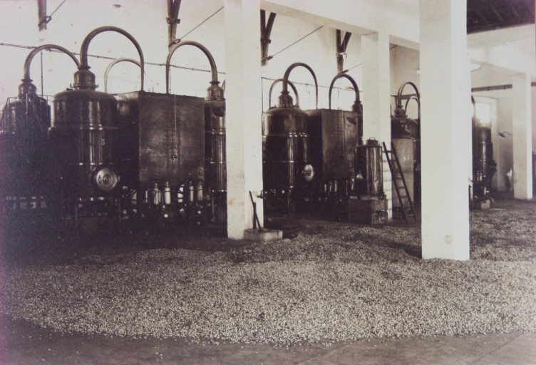 parfumerie (distillerie de fleurs de bigarradier) de la coopérative Nerolium - Les alambics dans la halle de distillation.