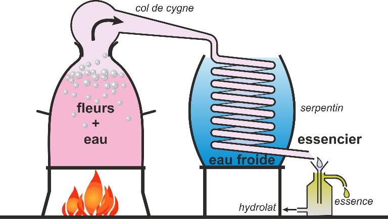 Schéma d'un alambic à feu nu