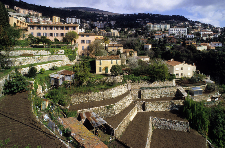 Dernières cultures en terrasses de la ville basse en contrebas du centre historique.