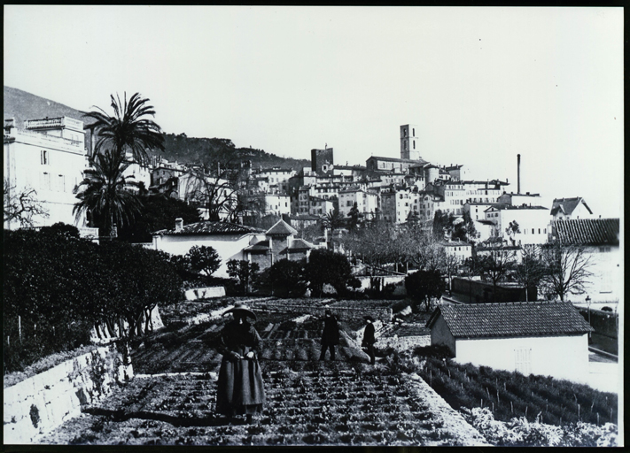 [Jardin floraux à proximité du centre historique à la fin du 19e siècle.]
