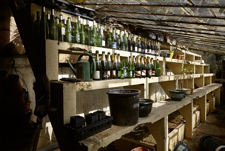 Intérieur de la serre. Gradins en béton armé sur lesquels étaient posés les végétaux en pots.