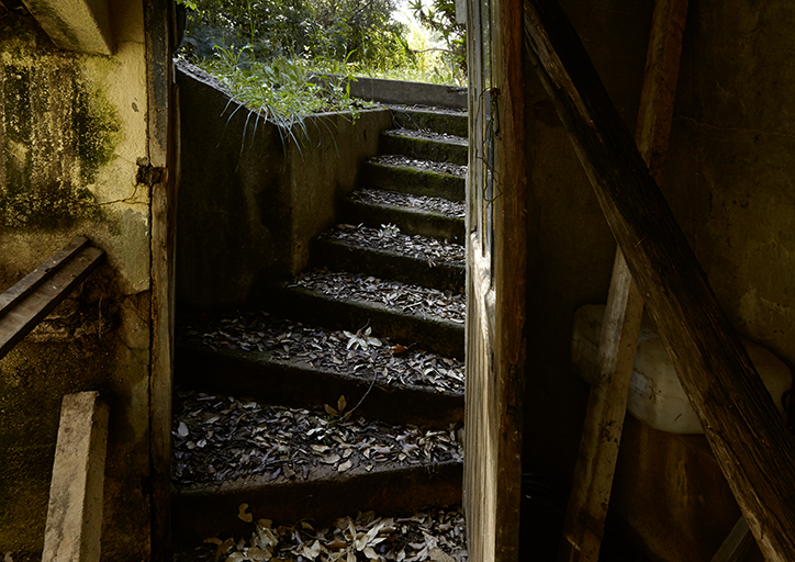 Escalier d'accès à la serre.