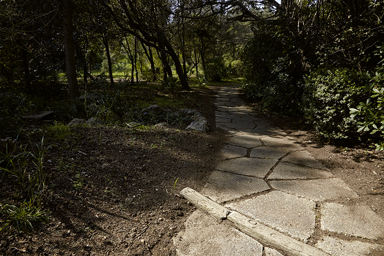 Sentier dallé serpentant à travers la végétation du parc paysager. Tronc en rocaille.