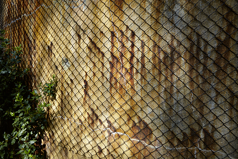 Château d'eau-belvédère. Détail.
