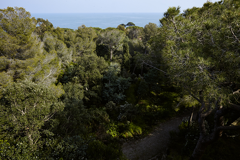 Vue prise du belvédère : le parc paysager et la vue sur la mer.