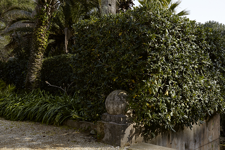 Jardin régulier. Boule d'amortissement à l'arrivée de l'escalier.