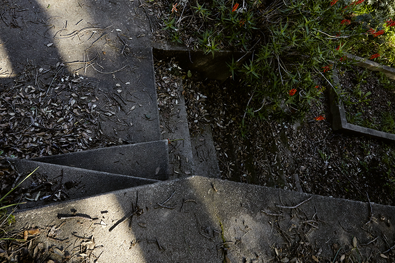 Escalier entre la serre et les coffres qui portaient des châssis amovibles.