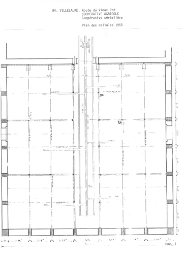 Plan des cellules. 1955.