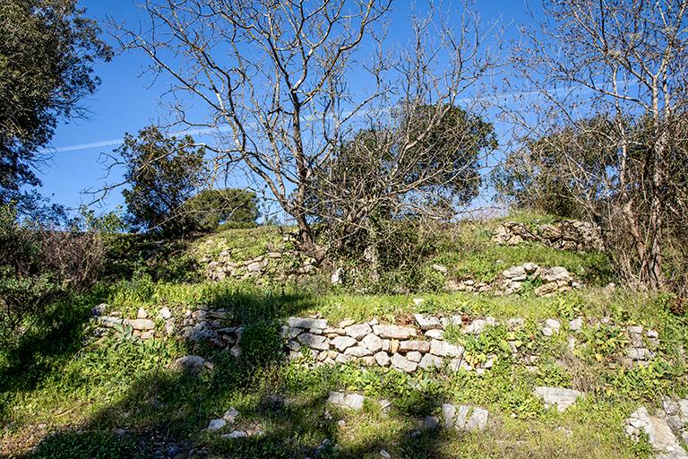 Vestiges de l'organisation en terrasse du hameau.