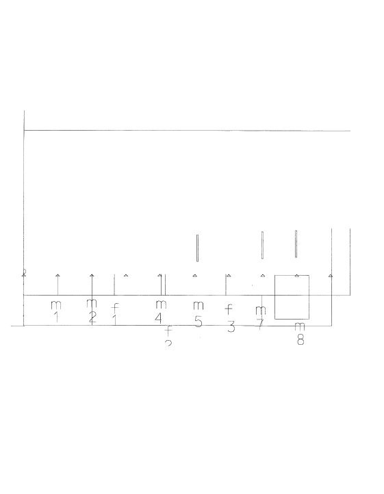 Relevé schématique de l’élévation méridionale avec la position des anciennes meurtrières. 