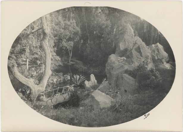 [Jardin japonais de la villa Champfleuri à Cannes, rochers, pièce d'eau, pont de rondins.] après 1928.