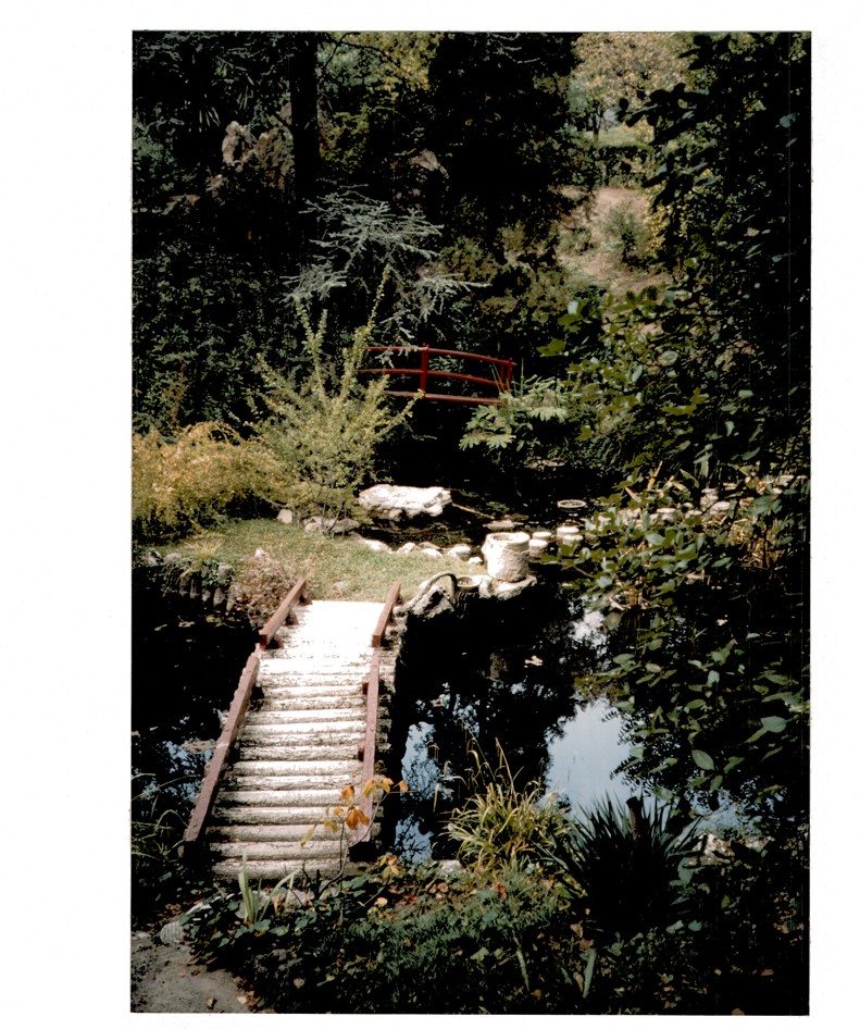 Le jardin japonais. Pont de rondins et de bois vers l'île de l'étang.