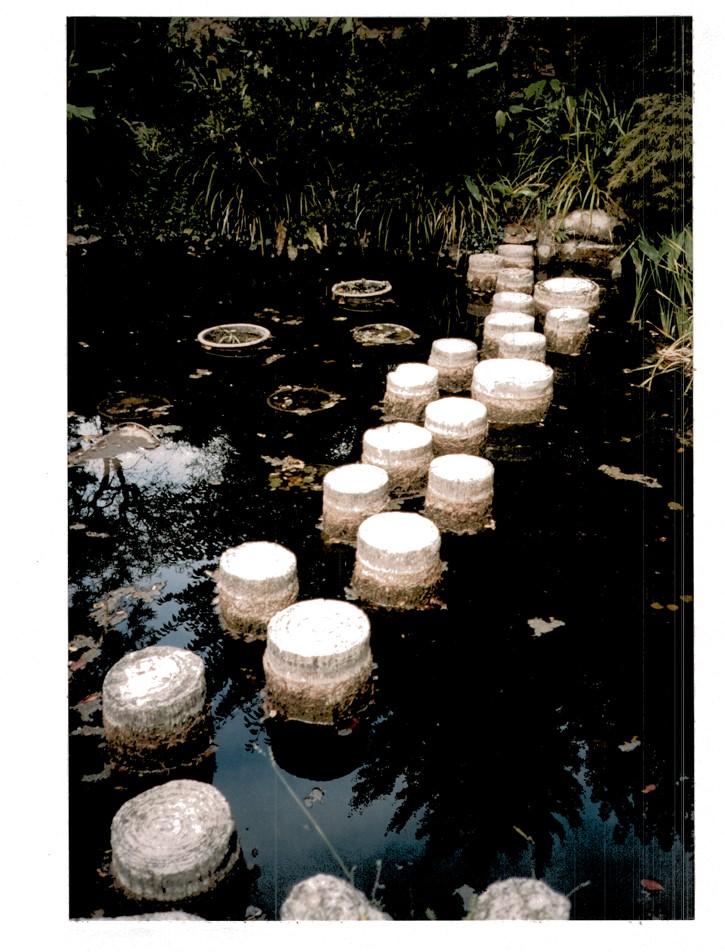 Le jardin japonais. Pas vers l'île de l'étang.