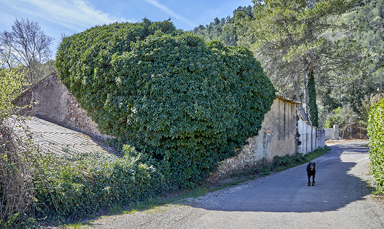 Bâtiment agricole au nord-ouest de la maison de maître et mur de clôture, formant limite de propriété (état en 2022).