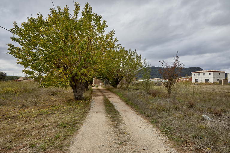 Allée plantée menant à une ferme à Saint-Pons.