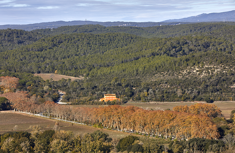 Finage vidaubanais à l'ouest de l'agglomération, depuis la chapelle Sainte-Brigitte : la dépression permienne est mise en valeur (notamment par la viticulture) et bornée par des collines boisées. De grandes fermes contrôlent le foncier cultivé. Au premier plan, l'allée plantée menant au Château d'Astros, non figuré sur l'image (état en 2022). 