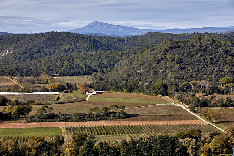 Finage agricole et viticole à l'ouest de l'agglomération, au Plan de la Barque, dominé à droite par la colline du Deffenson. Vue depuis la chapelle Sainte-Brigitte (état en 2022).